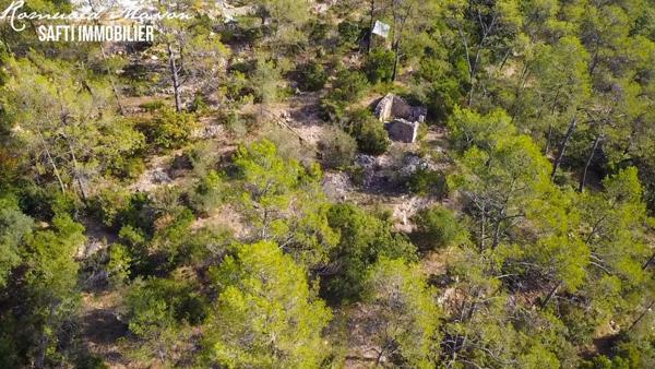 Terrain constructible 2500m2