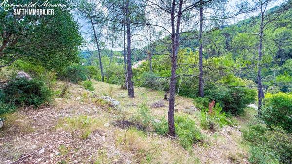 Terrain constructible 2500m2