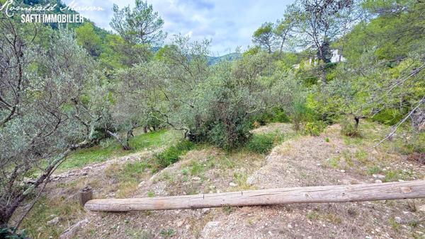 Terrain constructible 2500m2