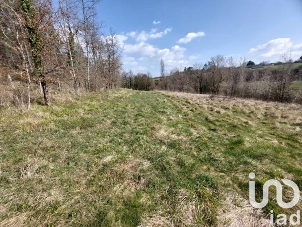 Terrain à vendre 