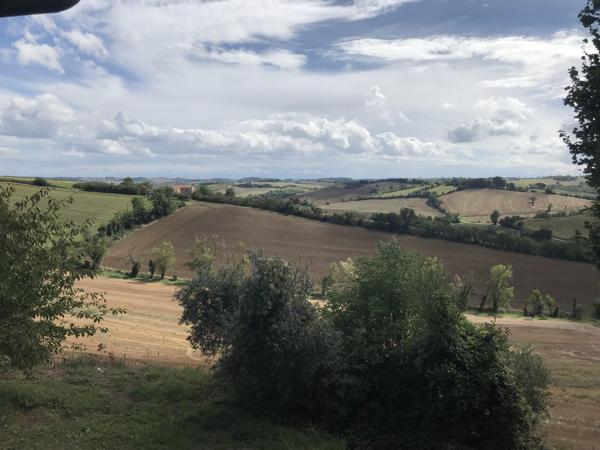 Vente / Terrain constructible