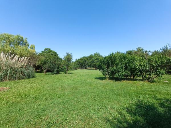 Maison T3 bis de plus de 148 m², cadre exceptionnel - Revel (31250)