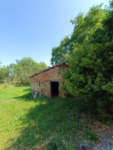 Maison T3 bis de plus de 148 m², cadre exceptionnel - Revel (31250)