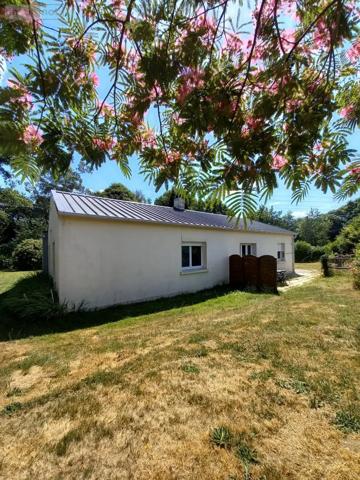 Achat - Maison Pluvigner 56330 5 pièces 125 m 2 18130 m 2