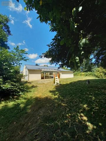 Achat - Maison Pluvigner 56330 5 pièces 125 m 2 18130 m 2