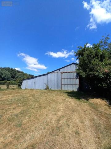 Achat - Maison Pluvigner 56330 5 pièces 125 m 2 18130 m 2
