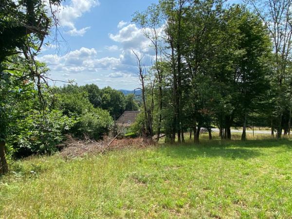 Terrain à TULLE, 19000 - 2281m²