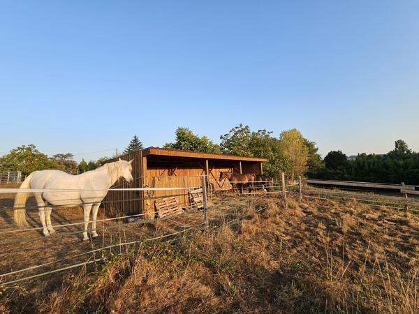 Propriété équestre de 5 hectares, entièrement clos, maison de plain pied 210m² annexe 130m²