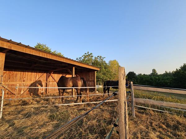 Propriété équestre de 5 hectares, entièrement clos, maison de plain pied 210m² annexe 130m²