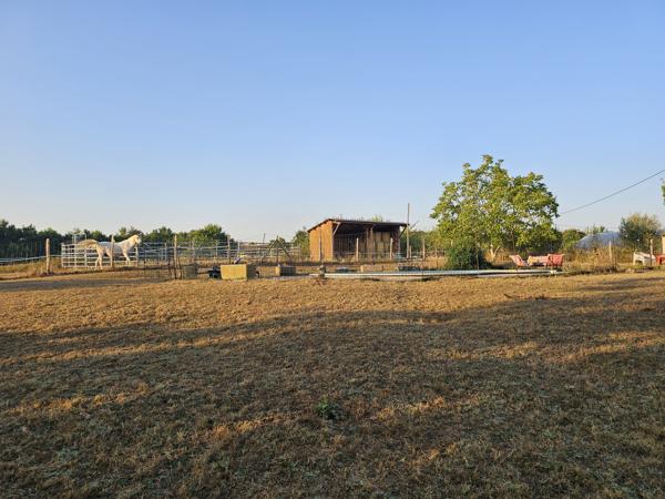 Propriété équestre de 5 hectares, entièrement clos, maison de plain pied 210m² annexe 130m²