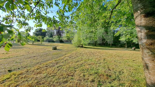 Vivre et Investir : Deux Résidences de Luxe sur un Même Terrain