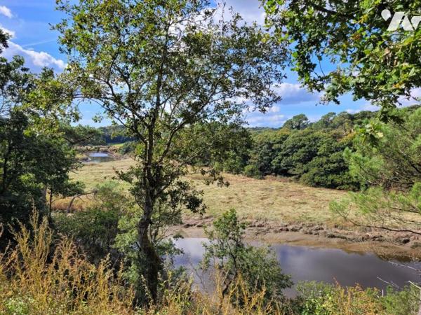 Vaste propriété avec vue sur le Scorff !