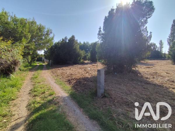 Terrain à vendre 5 260 m² Salses-le-Château