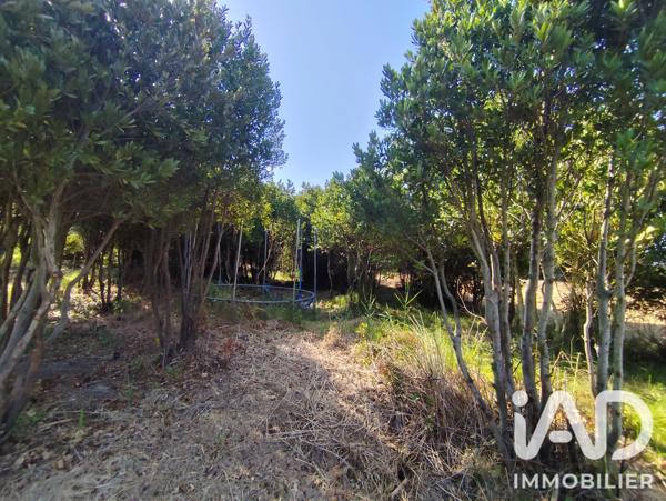 Terrain à vendre 5 260 m² Salses-le-Château