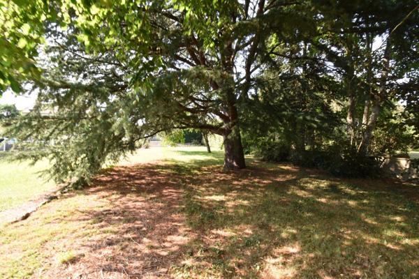 Maison à vendre 5 pièces LE PECHEREAU (36)