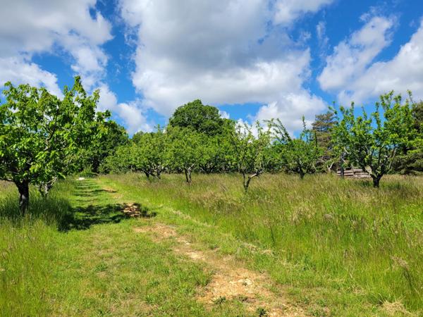 Magnifique propriété au calme absolu
