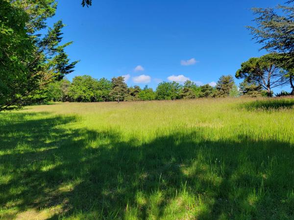 Magnifique propriété au calme absolu