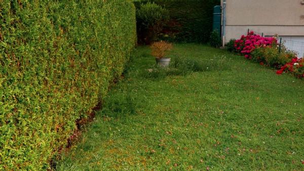 Appartement Douvres La Delivrande 4 pièce(s) 64 m2