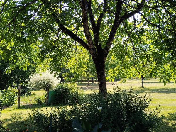 Grange à rénover à Saint-Martial-d'Albarède