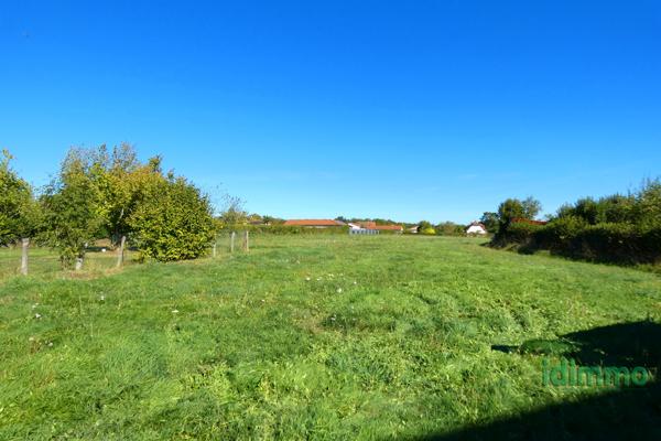 BELLE GRANGE 240 M2 Ytrac (15130)