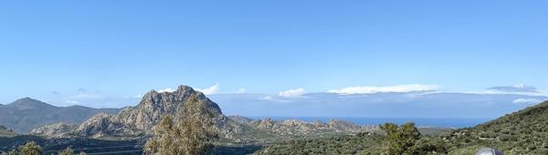 Hotel /Restaurant / Bar Proche St Florent 825 000 €