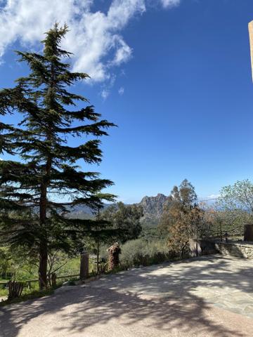 Hotel /Restaurant / Bar Proche St Florent 825 000 €