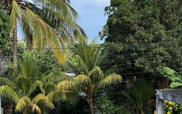 Maison à vendre    6 pièces •  Deshaies