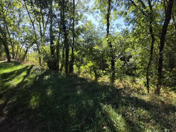 Maison de 84 m² avec sous-sol complet sur 4 965 m² de terrain – Accès rivière – Silhac
