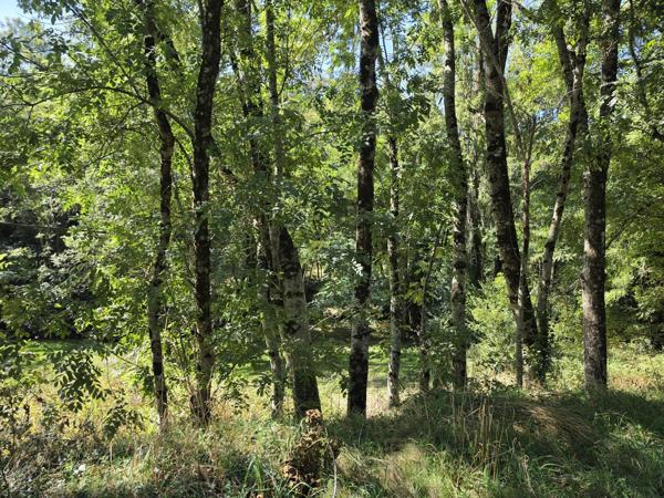 Maison de 84 m² avec sous-sol complet sur 4 965 m² de terrain – Accès rivière – Silhac