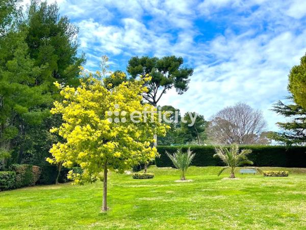 Appartement 3 pièces - 92 m²