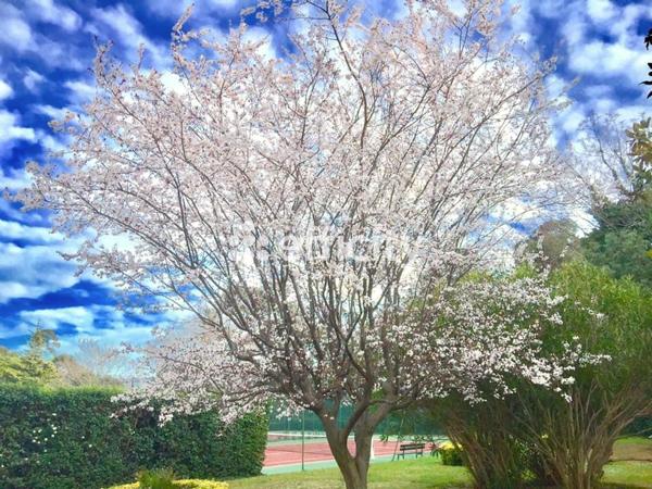 Appartement 3 pièces - 92 m²