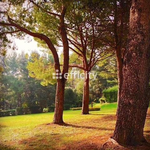 Appartement 3 pièces - 92 m²