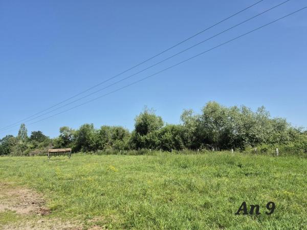 Vente / Terrain agricole