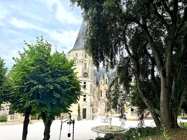 Château-du-Loir, Château 15 Chambres -  680 m² à vendre