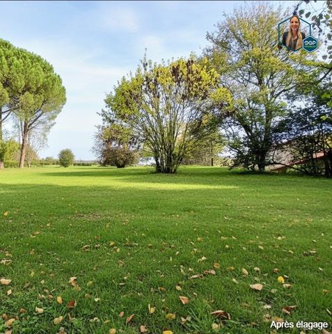 Terrain constructible et viabilisé 984 m²