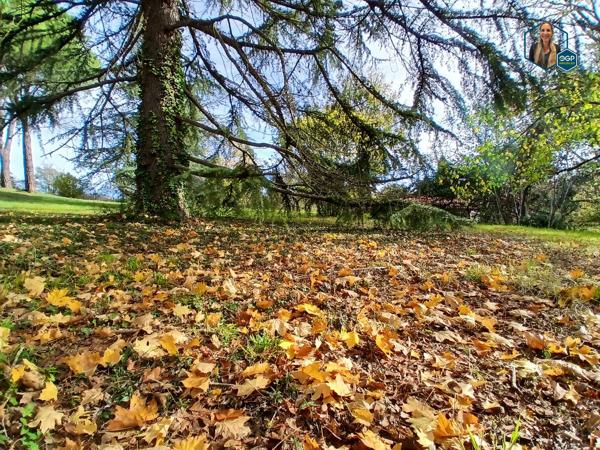 Terrain constructible et viabilisé 984 m²