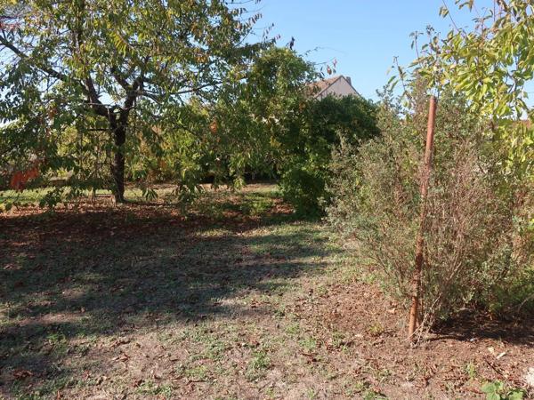 Achat - Maison | Maison Naintré 86530 5 pièces 90 m 2 696 m 2