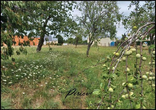 Proche du coeur de ville Baugé - 1300 m² de terrain partiellement arboré