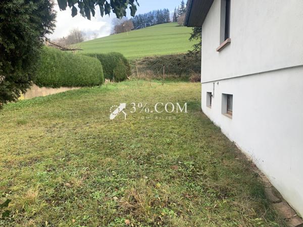 Maison individuelle Sainte-Marie-aux-Mines (68160)