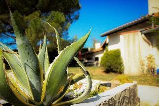 Maison à vendre à Eclassan (07370)