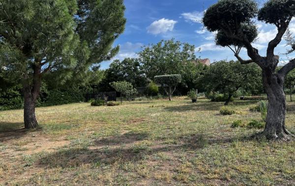 Vente Terrain Constructible Marseillan   