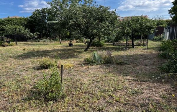 Vente Terrain Constructible Marseillan   