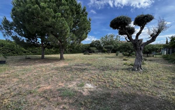 Vente Terrain Constructible Marseillan   