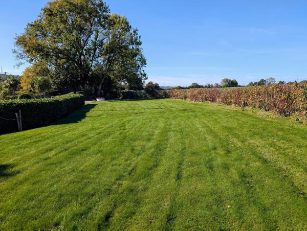 4 Gîtes en Bretagne sur un terrain d'environ 5 000 m2