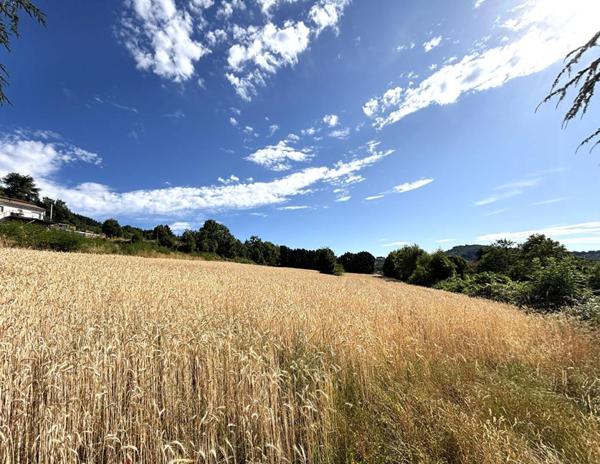 Bourg Argental 42220 parcelles de terrain constructible