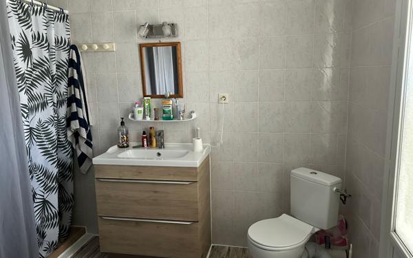 Immeuble à vendre    12 pièces •  Saint-Romain-en-Viennois