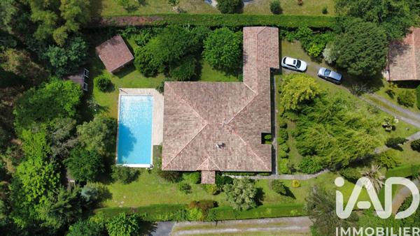 Maison à vendre 7 pièces 209 m² Messanges