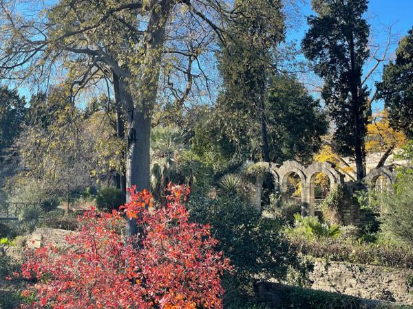 Vente Maison de luxe Montpellier 4 Pièces 157 m²