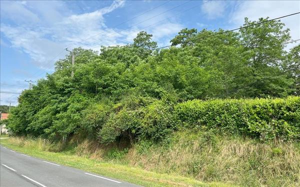 Terrain à vendre |  Douzillac |  2338 m²