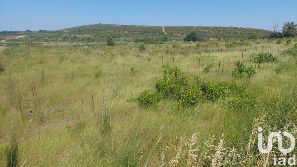 Terrain à vendre 4 430 m² Générac